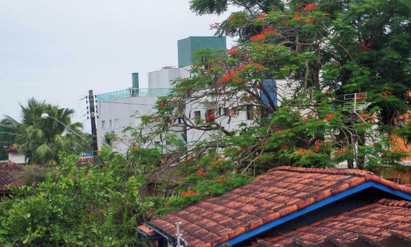 מיטה בחדר משותף, Que Onda!