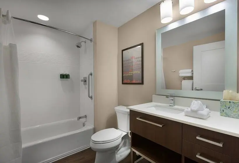 ダブルベッドのスタンダードスタジオ, Towneplace Suites Boone