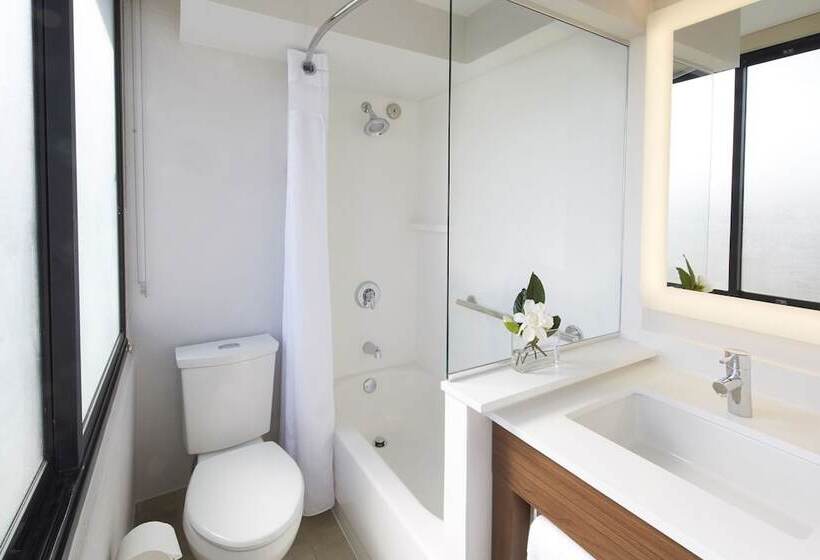 Standard Room 2 Double Beds