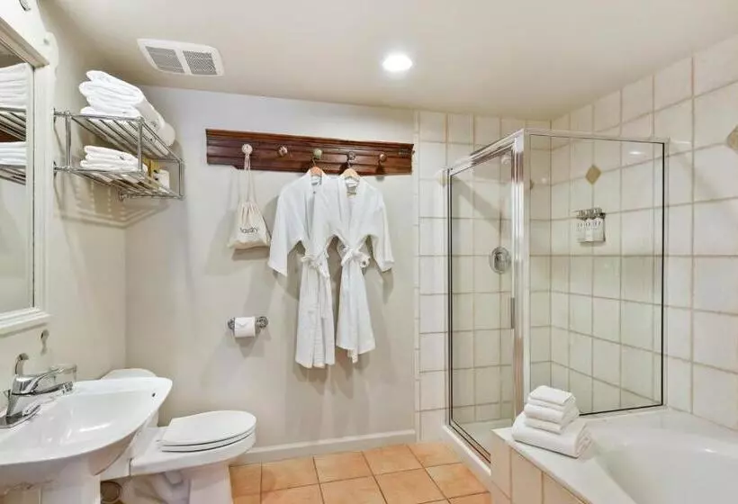 اتاق استاندارد با تخت بزرگ, Mill Valley Inn