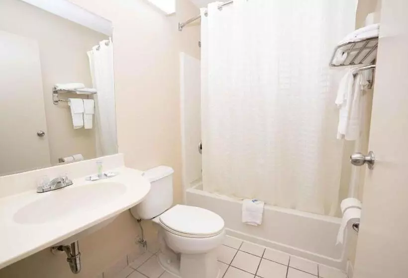اتاق استاندارد, Regency Inn & Suites Dfw