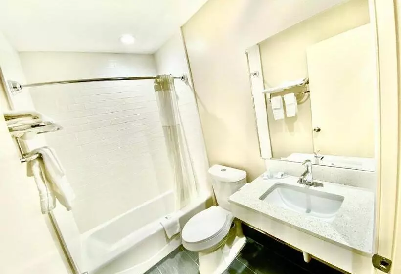 اتاق استاندارد, Regency Inn & Suites Dfw