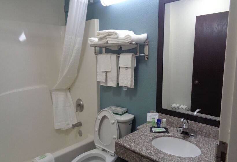 סוויטה, Sleep Inn & Suites Tallahasseecapitol