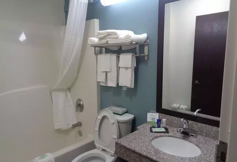 Sviitti, Sleep Inn & Suites Tallahasseecapitol