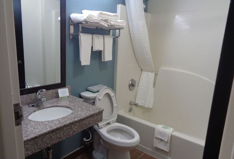 סוויטה, Sleep Inn & Suites Tallahasseecapitol