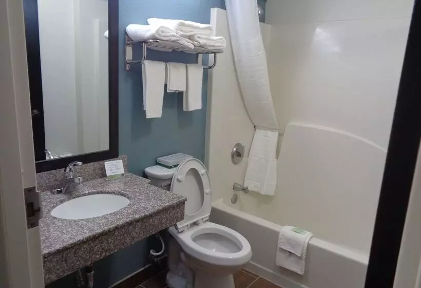 Sviitti, Sleep Inn & Suites Tallahasseecapitol