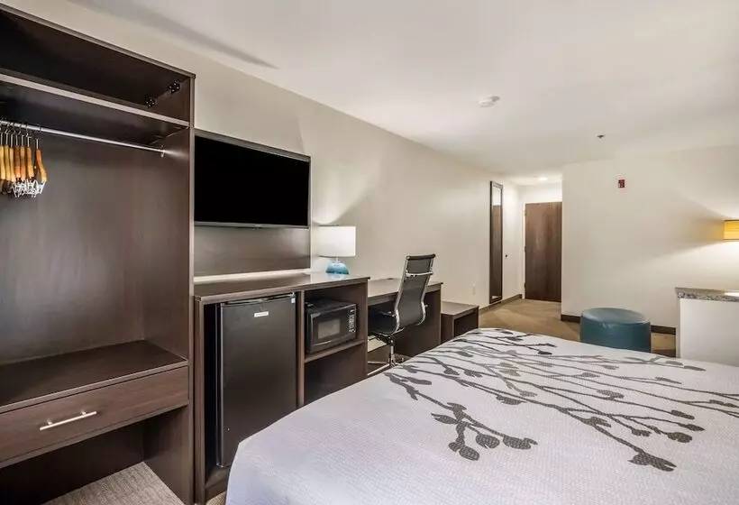 Sviitti, Sleep Inn & Suites Tallahasseecapitol