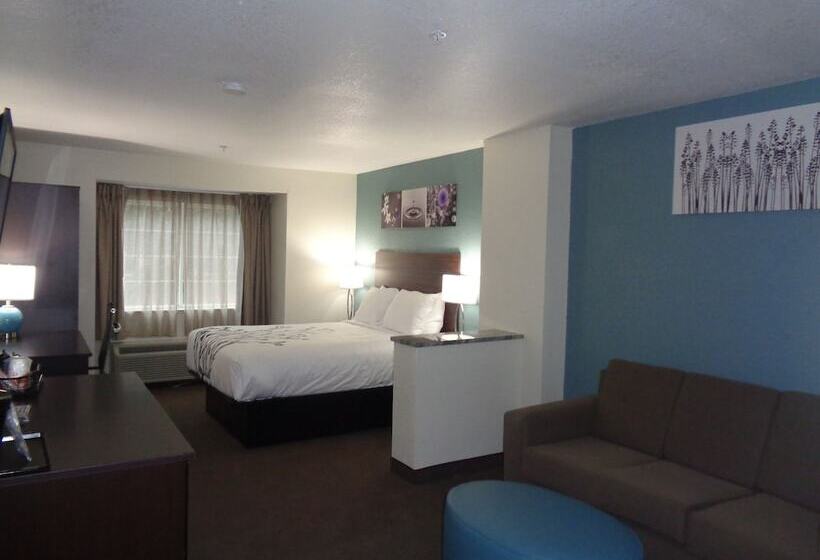 סוויטה, Sleep Inn & Suites Tallahasseecapitol