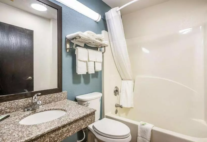 Standard-huone, Sleep Inn & Suites Tallahasseecapitol