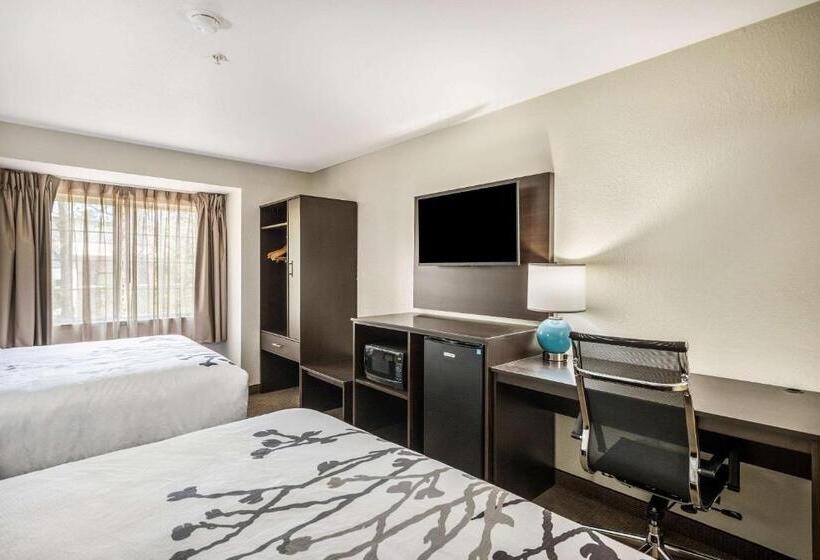 חדר סטנדרט, Sleep Inn & Suites Tallahasseecapitol