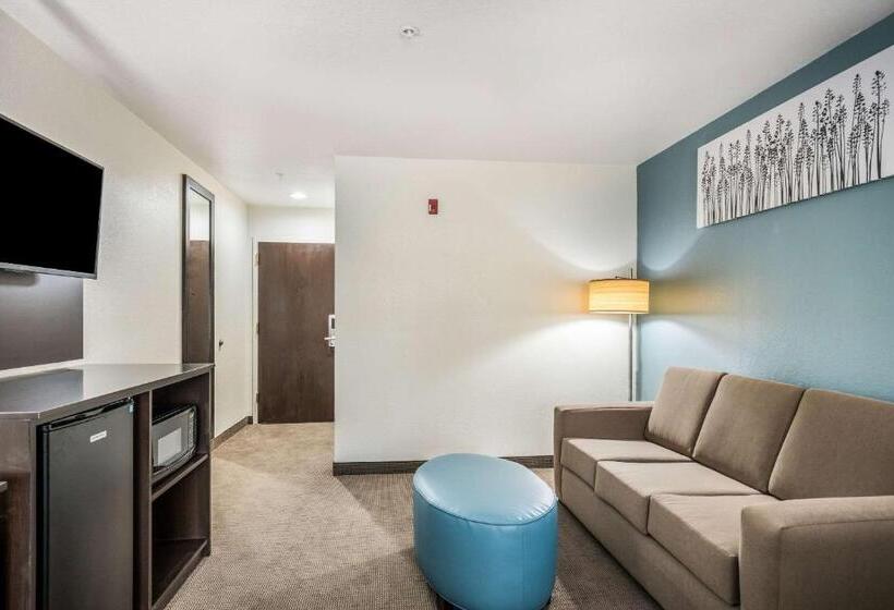 סוויטה, Sleep Inn & Suites Tallahasseecapitol