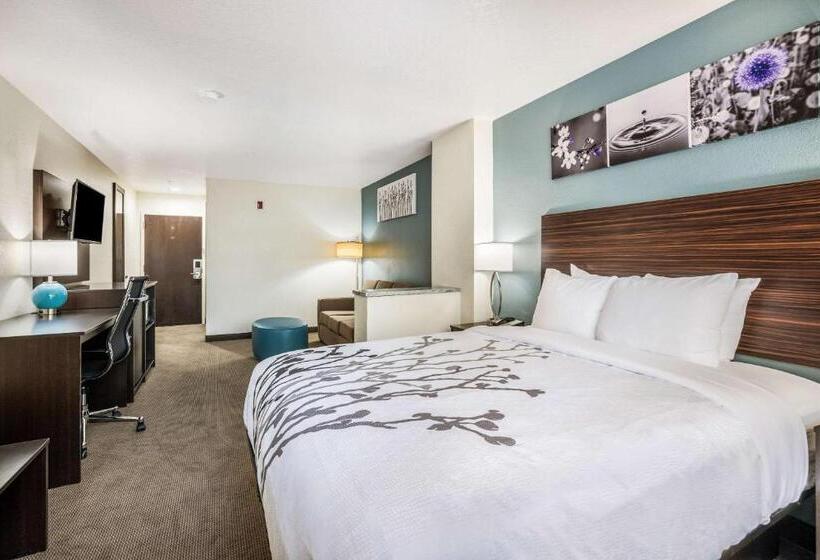 סוויטה, Sleep Inn & Suites Tallahasseecapitol