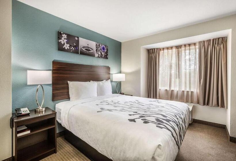 סוויטה, Sleep Inn & Suites Tallahasseecapitol