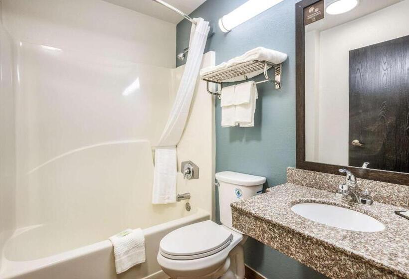 חדר סטנדרט מותאם לאדם עם מוגבלויות, Sleep Inn & Suites Tallahasseecapitol