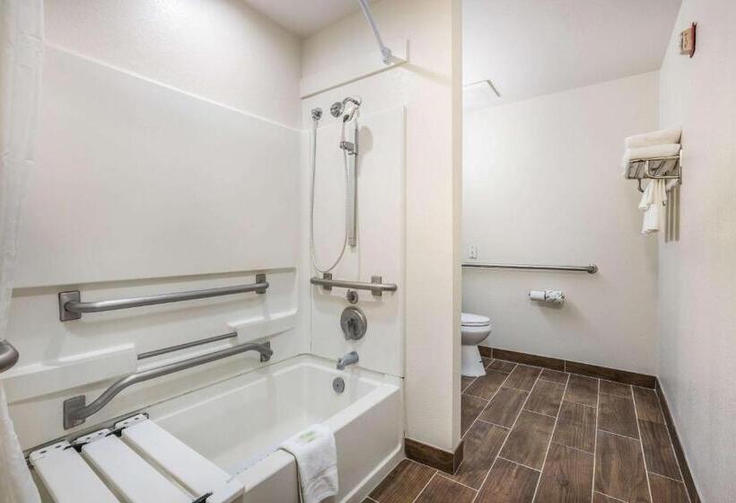장애인을 위한 스탠다드 룸, Sleep Inn & Suites Tallahasseecapitol