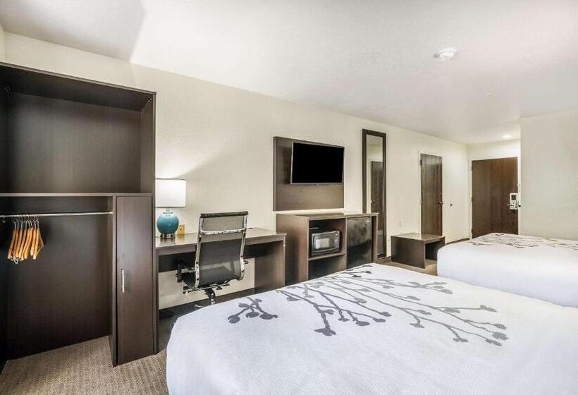 חדר סטנדרט מותאם לאדם עם מוגבלויות, Sleep Inn & Suites Tallahasseecapitol