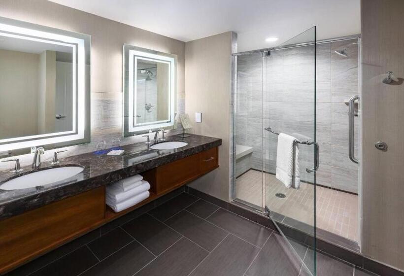 Люкс Executive Кровать Кинг, South Sioux City Marriott Riverfront