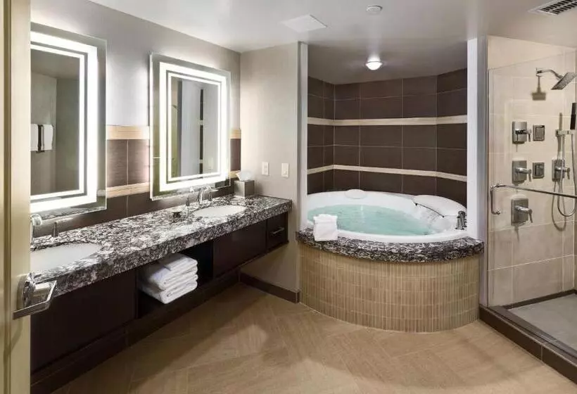 キングサイズベッドのスイートルーム, South Sioux City Marriott Riverfront