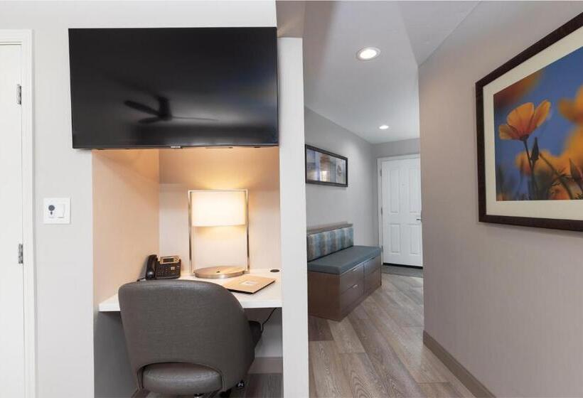 סטודיו דלוקס, Marina Beach Motel