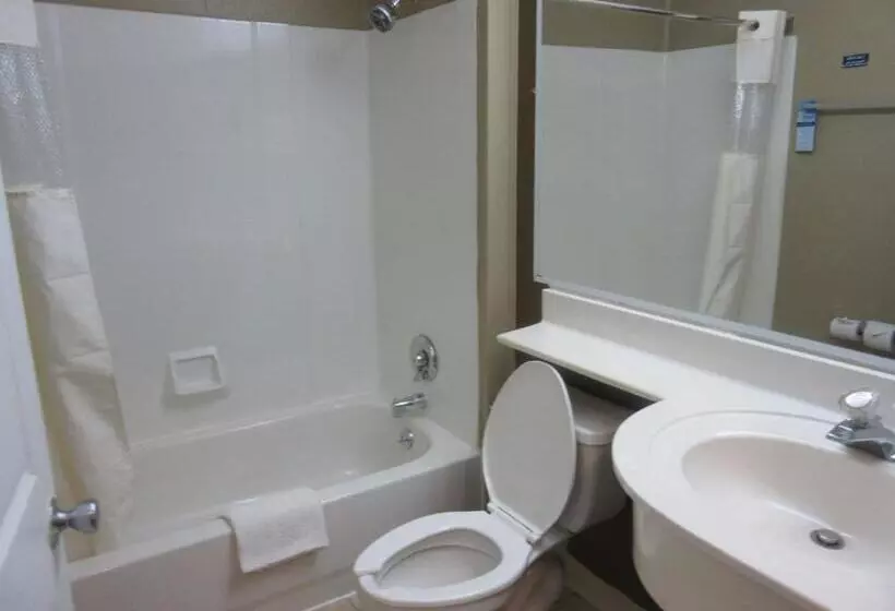 スタンダードルーム, Microtel Inn & Suites By Wyndham Columbia Fort Jackson N
