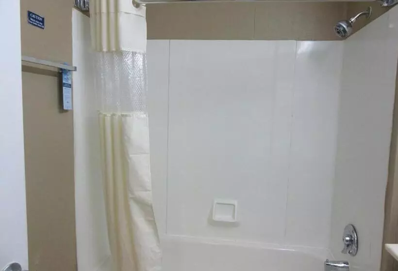 スタンダードルーム, Microtel Inn & Suites By Wyndham Columbia Fort Jackson N