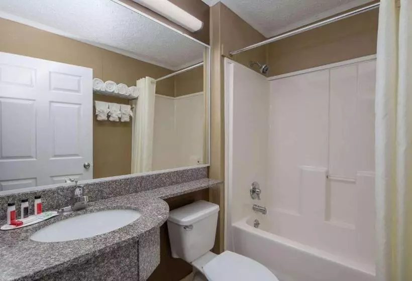 スタンダードルーム, Microtel Inn & Suites By Wyndham Columbia Fort Jackson N