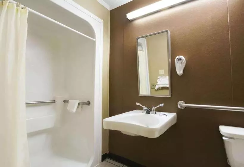身障者適用スタンダードルーム, Microtel Inn & Suites By Wyndham Columbia Fort Jackson N