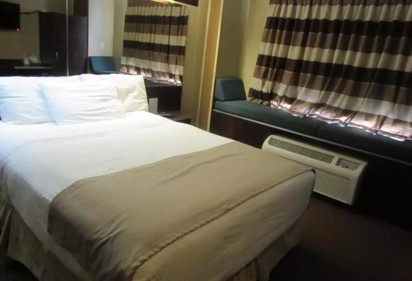 身障者適用スタンダードルーム, Microtel Inn & Suites By Wyndham Columbia Fort Jackson N