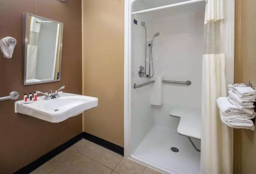 身障者適用スタンダードルーム, Microtel Inn & Suites By Wyndham Columbia Fort Jackson N