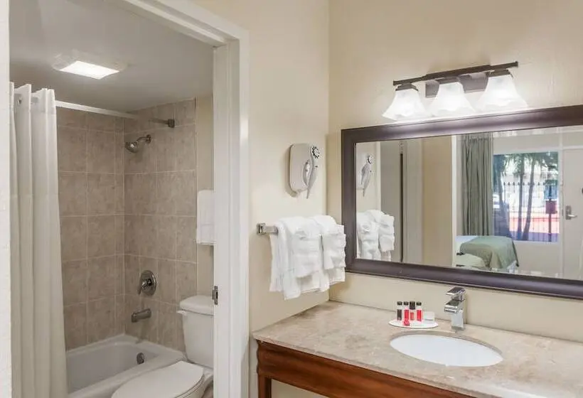 Deluxe-huone, Super 8 By Wyndham St. Petersburg