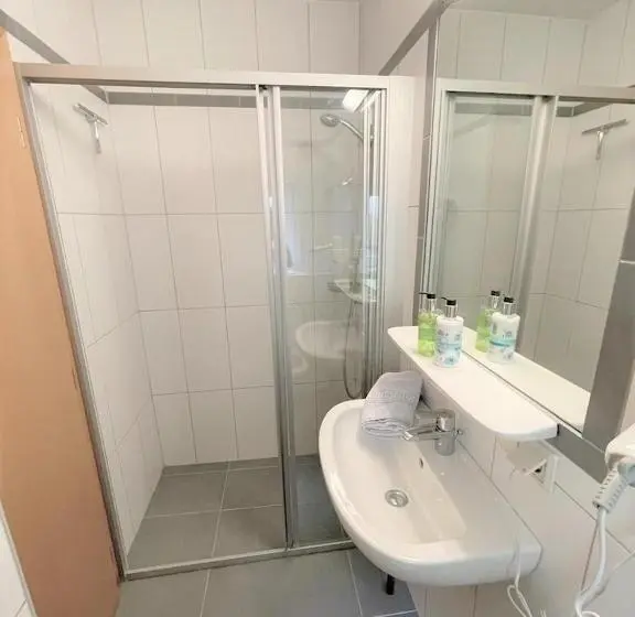 スタンダードシングルルーム, Haus Heimat Wagrain