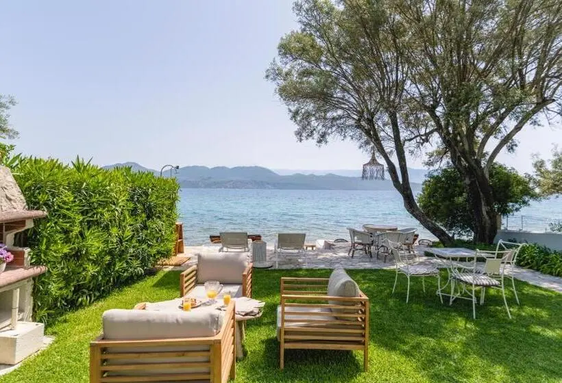 スイート, Agnadi Suites