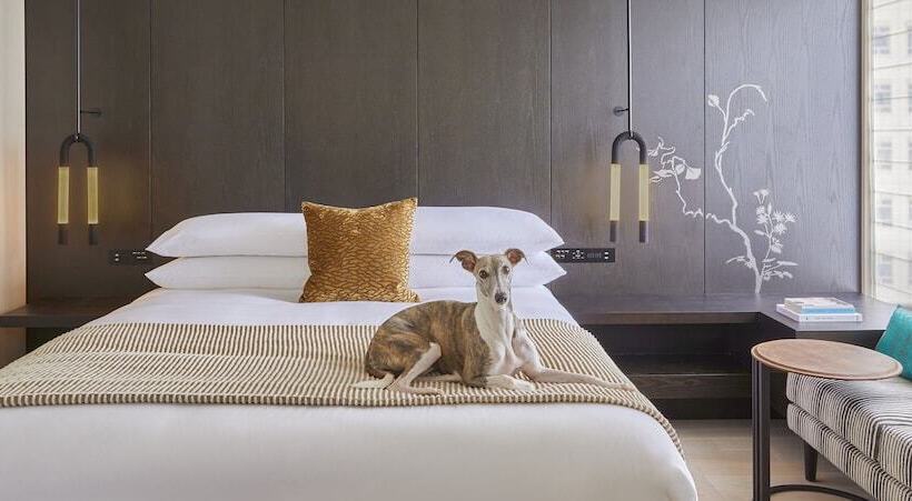 高级客房, Kimpton Shinjuku Tokyo, An Ihg