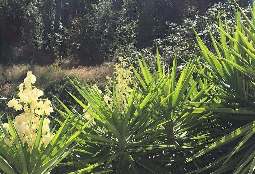 スイート, Mare E Monti   Hôtel De Charme