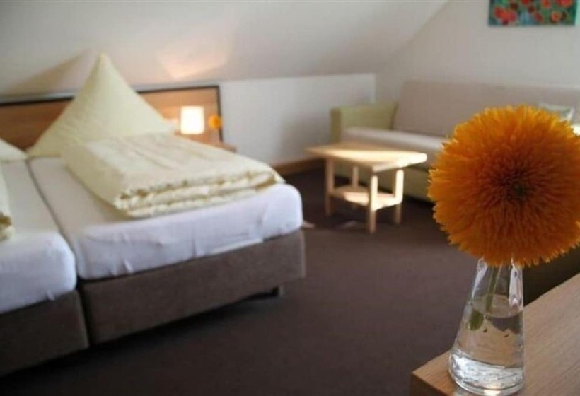 스탠다드 트리플 룸, Haußler