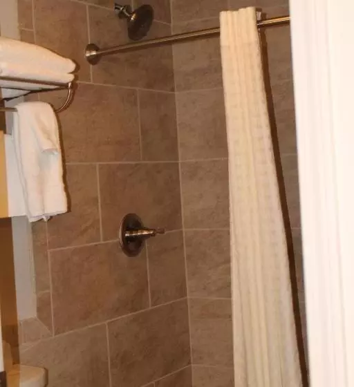 اتاق استاندارد با چشمانداز, Best Western Plus Concord Inn