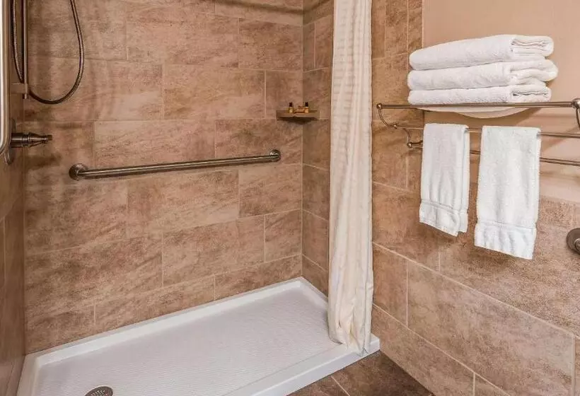 اتاق استاندارد با تخت دو نفره بزرگ برای معلولان, Best Western Plus Concord Inn
