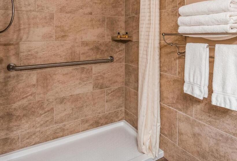 غرفة قياسية سرير ملكى لذوى الإحتياجات الخاصة, Best Western Plus Concord Inn