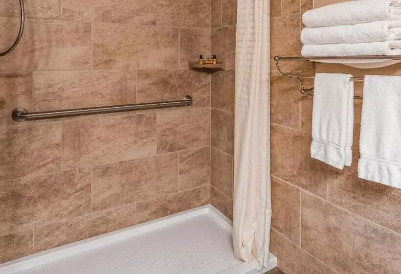 اتاق استاندارد با تخت دو نفره بزرگ برای معلولان, Best Western Plus Concord Inn