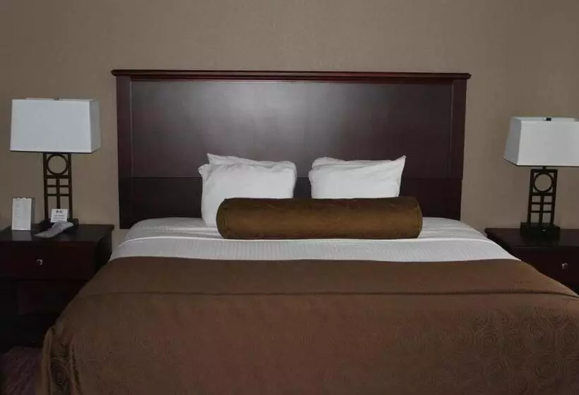 سوئیت با تخت بزرگ, Best Western Plus Concord Inn