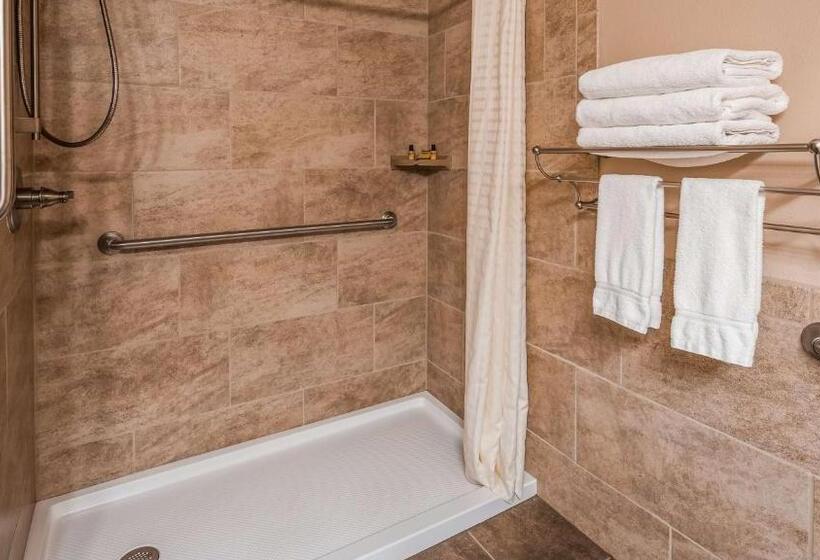Номер Стандарт Кровать Квин Адаптированный для Инвалидов, Best Western Plus Concord Inn