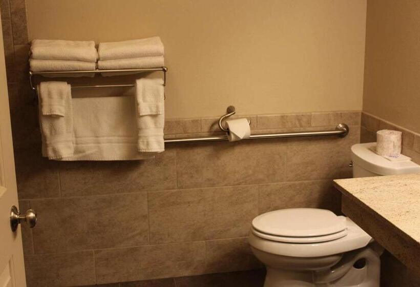 غرفة قياسية سرير ملكى لذوى الإحتياجات الخاصة, Best Western Plus Concord Inn