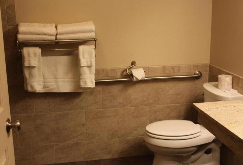 Номер Стандарт Кровать Квин Адаптированный для Инвалидов, Best Western Plus Concord Inn