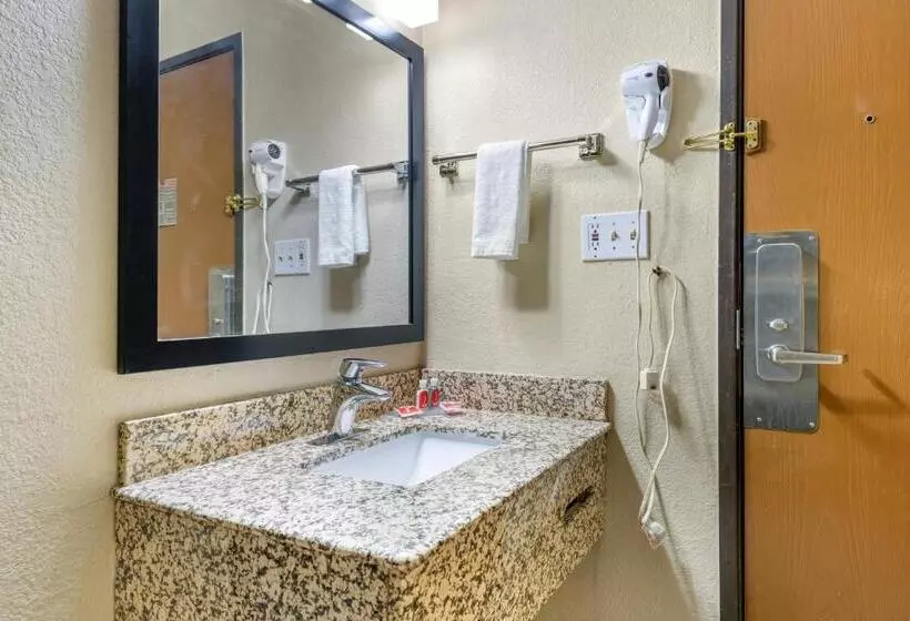 2ダブルベッドのスタンダードルーム, Econo Lodge