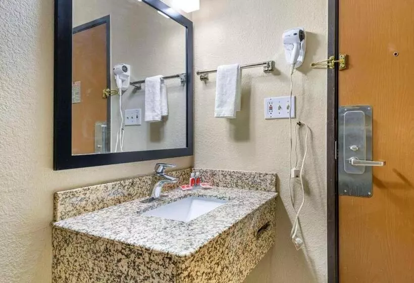 2ダブルベッドのスタンダードルーム, Econo Lodge