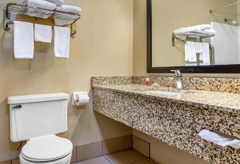 高级大房间, Econo Lodge