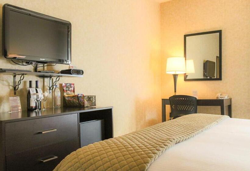 スイート, Majestic