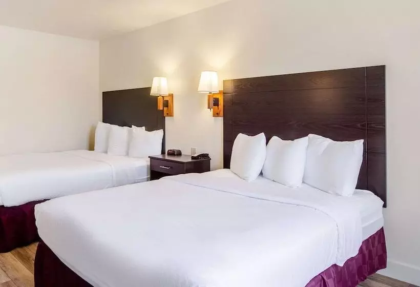 اتاق لوکس, Americas Best Value Inn & Suites Ft. Collins E At I25