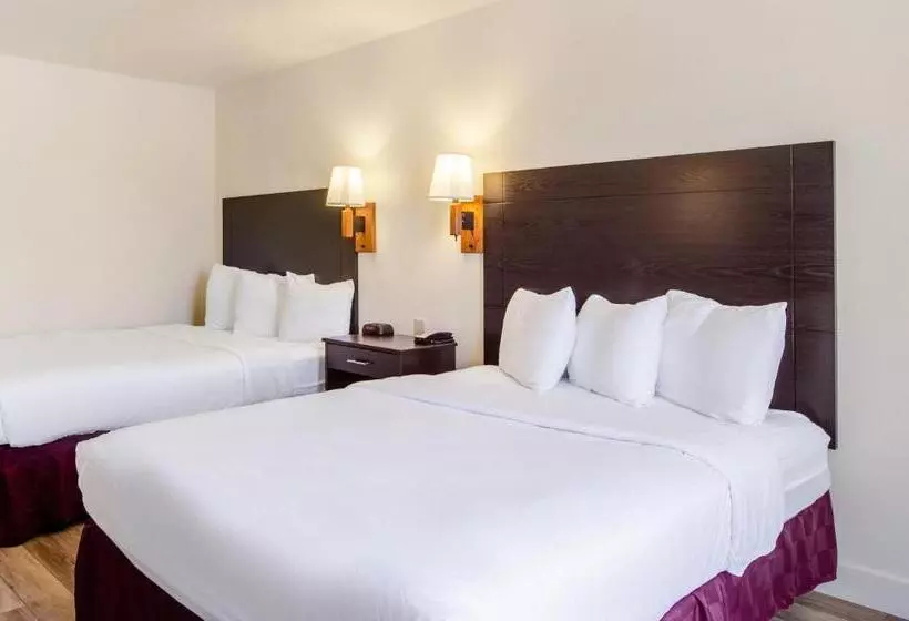 اتاق استاندارد, Americas Best Value Inn & Suites Ft. Collins E At I25