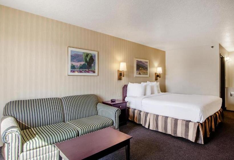 스탠다드 룸 킹사이즈 침대, Americas Best Value Inn & Suites Ft. Collins E At I25